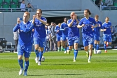 SGF-D98-2018-19-0001