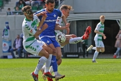 SGF-D98-2018-19-0005