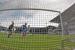 SGF-D98-2018-19-0008a