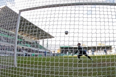 SGF-SVD-2019-20-005a