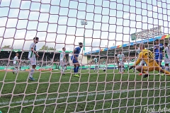 SGF-SVD-2019-20-029a