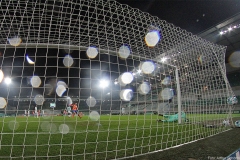 SGF-SVD-2020-21-006a