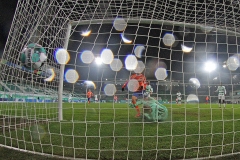 SGF-SVD-2020-21-015a