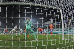 SGF-SVD-2020-21-028a