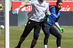 SSV-D98-2017-18-0003