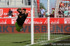 SSV-D98-2017-18-0019