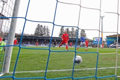 SVD-FCH-2019-20-009a