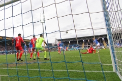 SVD-FCH-2019-20-018a