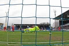 SVD-FCH-2019-20-029a