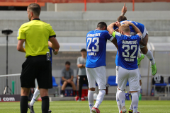 SVD-FCI-2021-22-0021