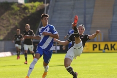 SVD-FCSP-2020-21-010