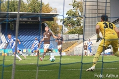 SVD-FCSP-2020-21-017a