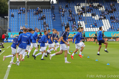 SVD-H96-2021-22-0002