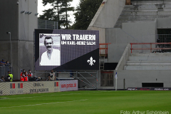 SVD-H96-2021-22-0003