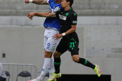 SVD-H96-2021-22-0009