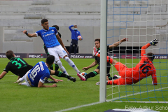 SVD-H96-2021-22-0011