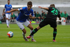 SVD-H96-2021-22-0013