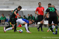 SVD-H96-2021-22-0015