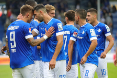 SVD-H96-2021-22-0017