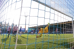 SVD-HSV-2019-20-014a