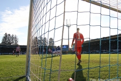 SVD-HSV-2019-20-029a