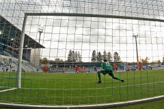 SVD-SCP-2020-21-006a