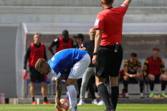 SVD-SGD-2021-22-gg-0013