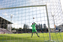 SVD-SGD-2021-22-gg-0020a