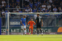 SVD-SGD-2021-22-gg-0033