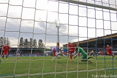 SVD-SVS-2019-20-006a