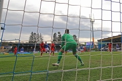 SVD-SVS-2019-20-007a