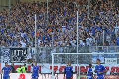 SVS-SVD-2019-20-0001