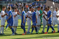 SVS-SVD-2019-20-0002