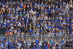 SVS-SVD-2019-20-0007