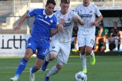 SVS-SVD-2019-20-0008