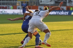 SVS-SVD-2019-20-0010