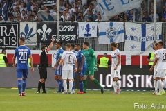 SVS-SVD-2019-20-0011