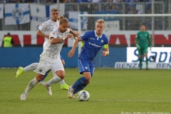 SVS-SVD-2019-20-0013