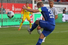 SVS-SVD-2019-20-0014