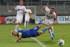 SVS-SVD-2019-20-0017