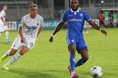 SVS-SVD-2019-20-0021