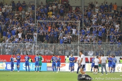 SVS-SVD-2019-20-0023