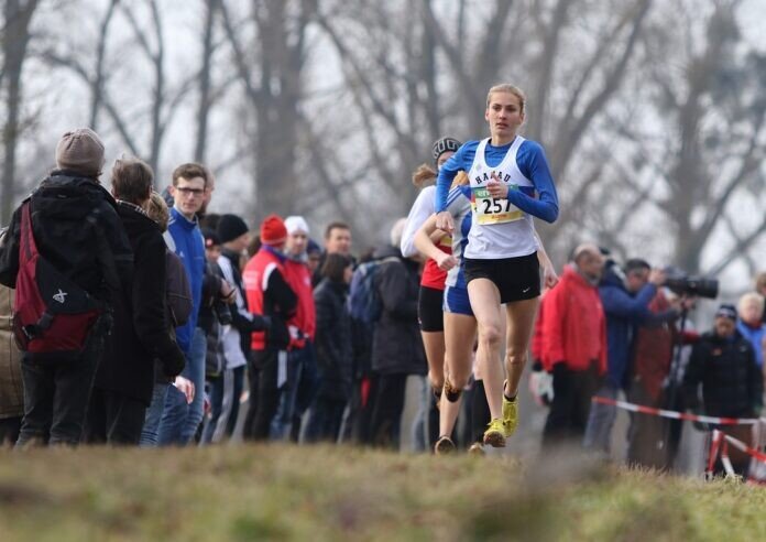 cross_hm_lisa_oed_01_tiny