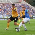 SVD-SGD-2019-20-0021