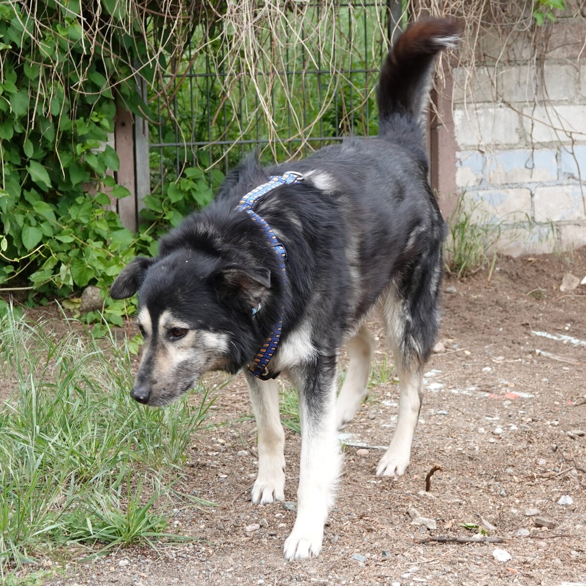 Monty mag es gemütlich Combi Medien Verlag