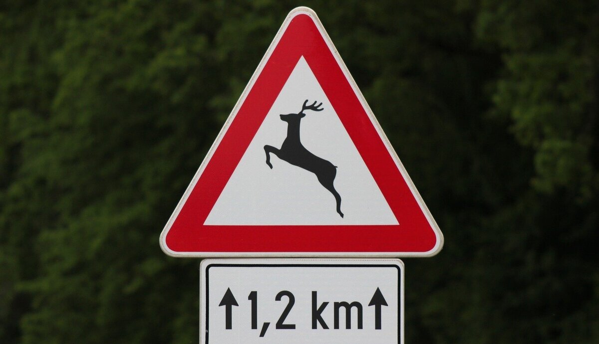 traffic-sign-g76716dbd1_1920