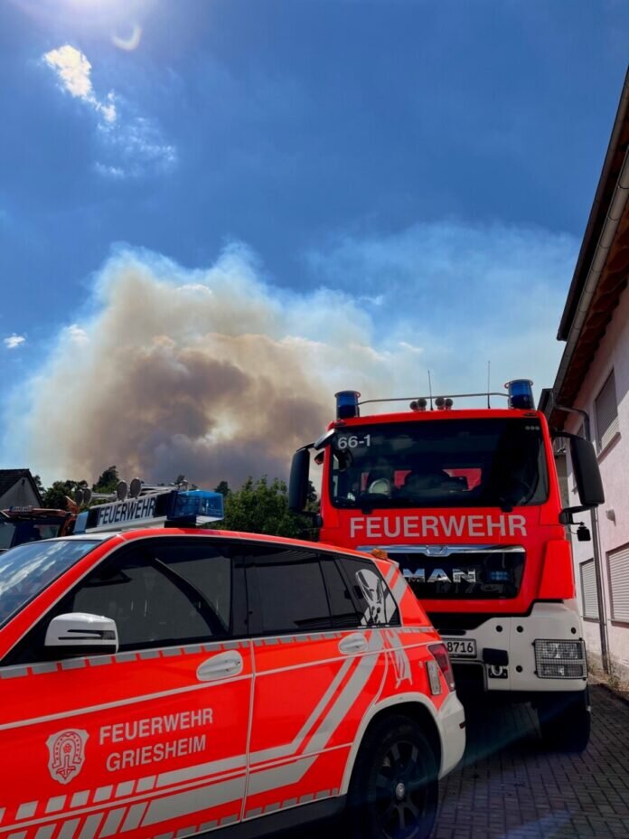 Presse Griesheim 20220816 - Feuerwehr Einsatz Waldbrand