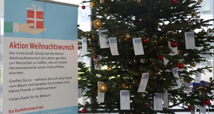 221122 Weihnachtsbaum IMG_2764