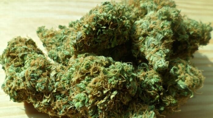 cannabis-g2e586eba2_1920