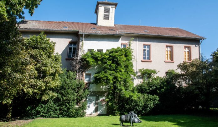 csm_Rathaus_Eberstadt_c_Denkmalarchiv_Helmut_Hahn_c6f2460ee6